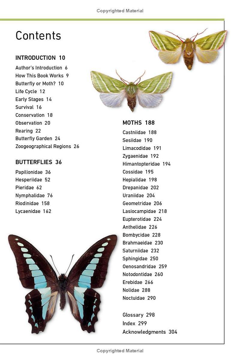 Sách ngoại văn: Butterflies And Moths