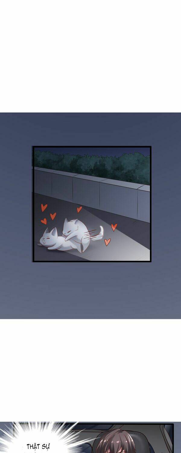 tôi không muốn fa như vậy đâu chapter 2 5