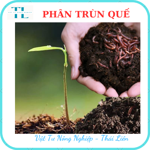Phân trùn quế nguyên chất SFARM Bao 2kg rất tốt cho mọi cây trồng, dễ sử dụng, tiện lợi