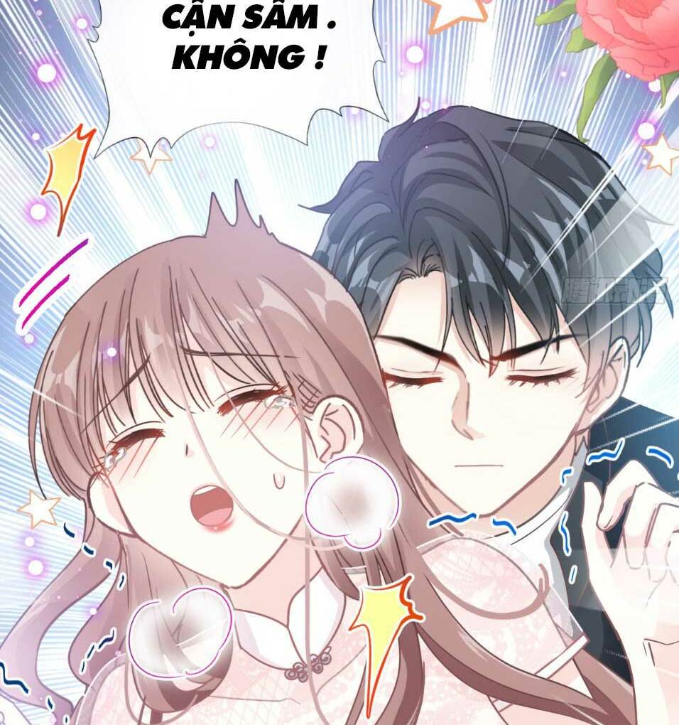 bá đạo tổng tài nhẹ nhàng yêu chapter 47.2 15