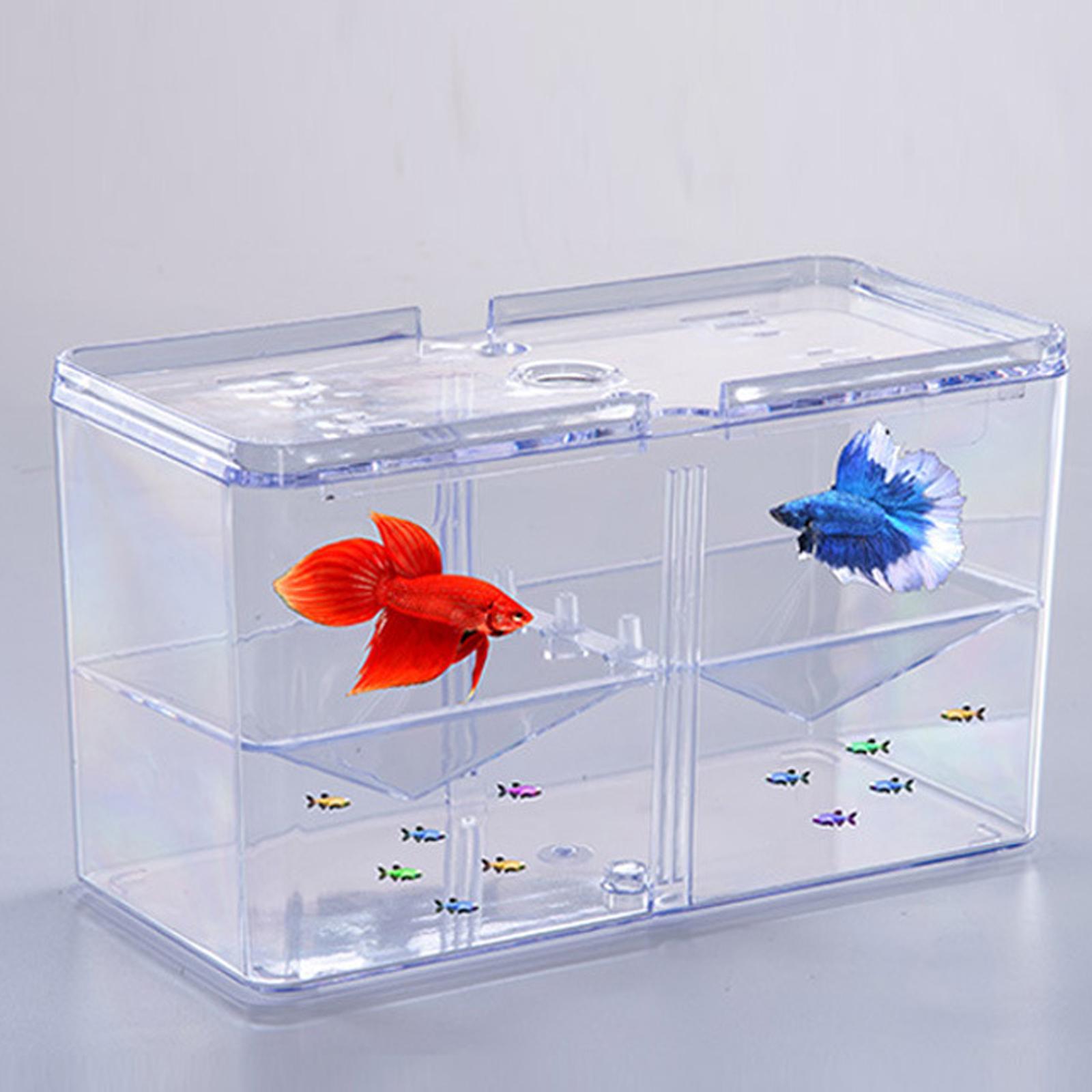 Fish Breeding Box Tank Hatchery Incubator Aquarium Isolation Box Guppy