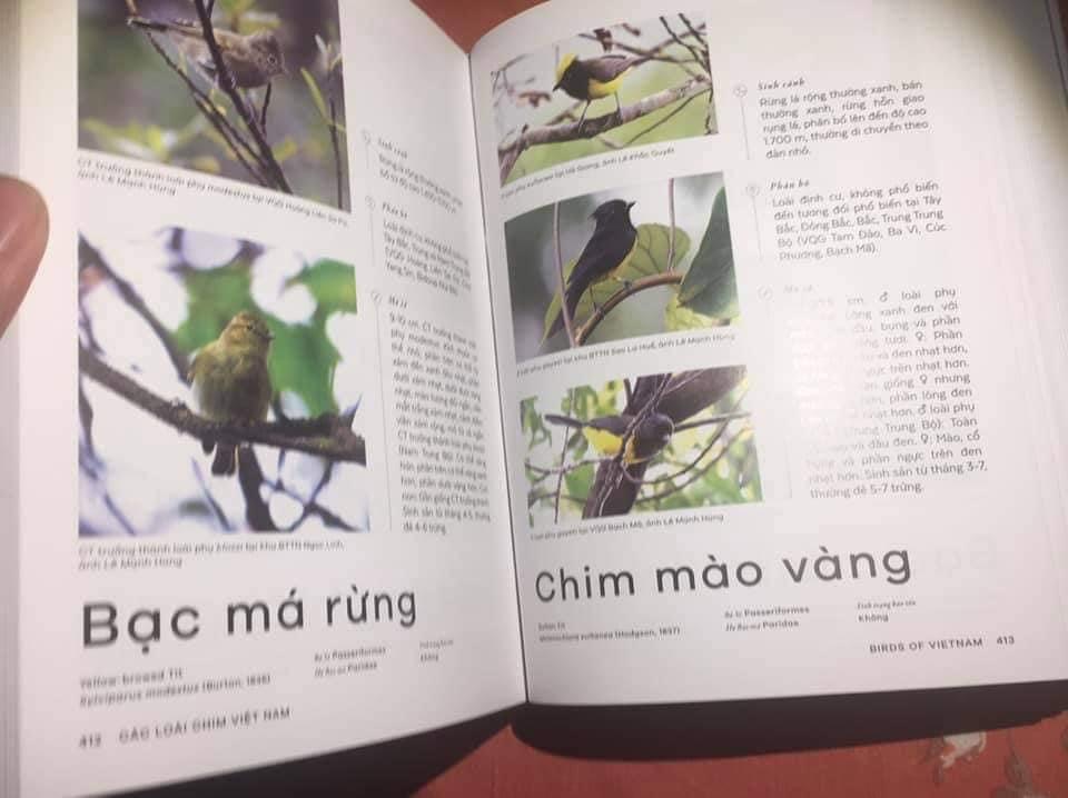 CÁC LOÀI CHIM VIỆT NAM - SÁCH BÌA CỨNG IN MÀU TOÀN BỘ