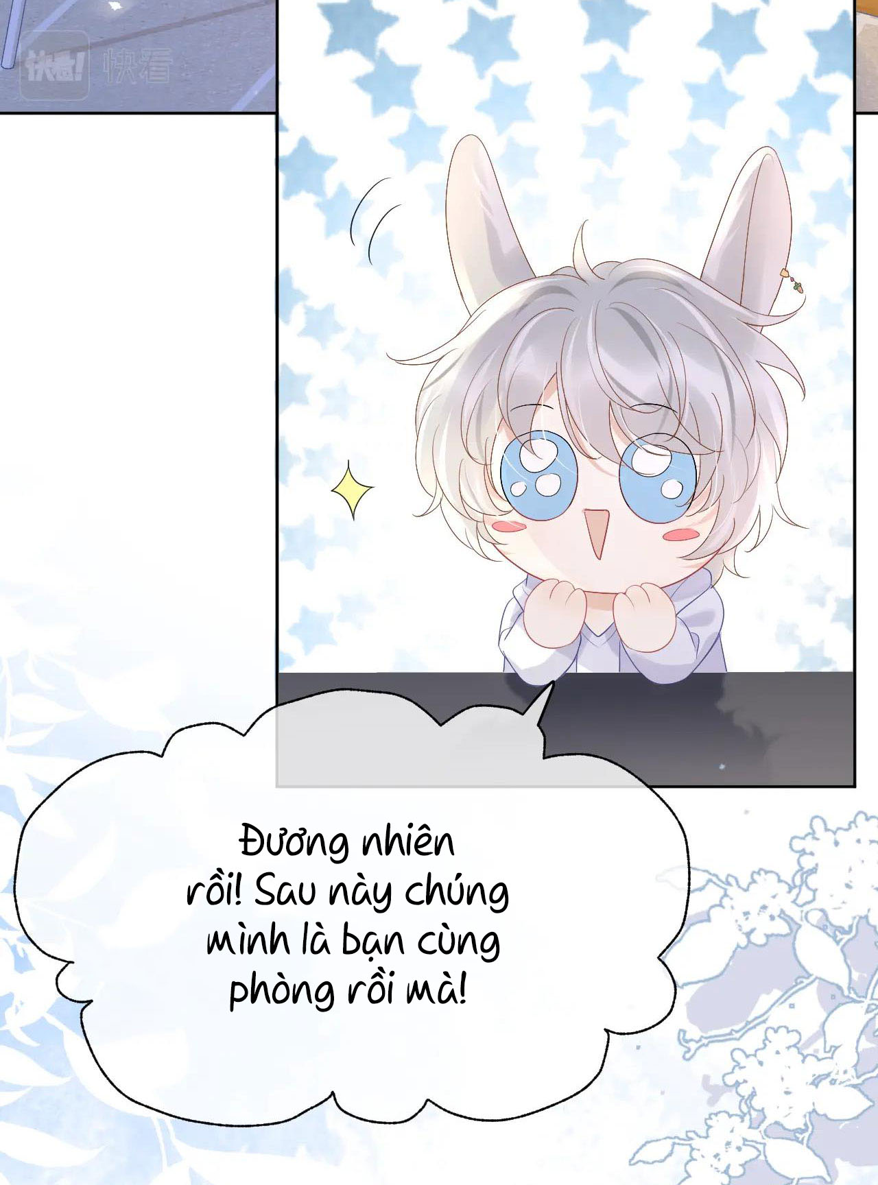 một miếng ăn sạch thỏ chapter 9 31