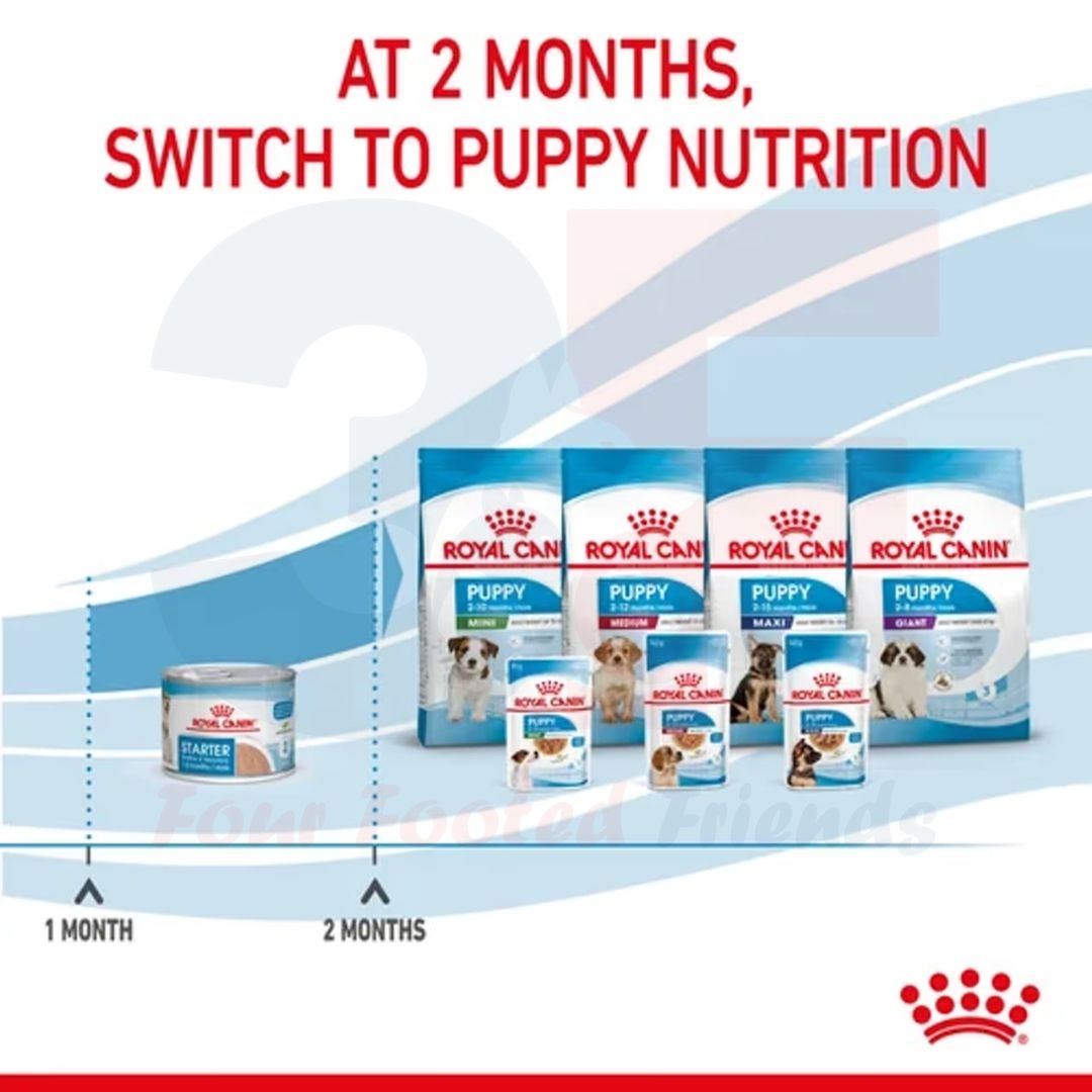 Pate thức ăn ướt Royal Canin Starter Mousse Mother &amp; Babydog Dành Cho Chó Mẹ Mang Thai VÀ Cho Con Bú, Chó Con Dưới 2 Tháng Tuổi Dạng Loaf - Lon 195gr