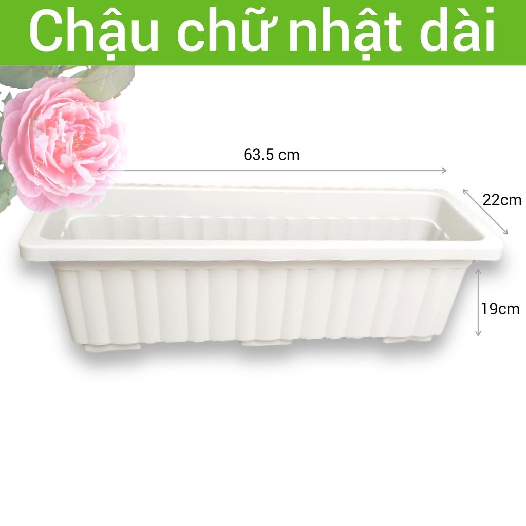 Chậu nhựa dài trồng cây kiểng, rau sạch ban công sân thượng