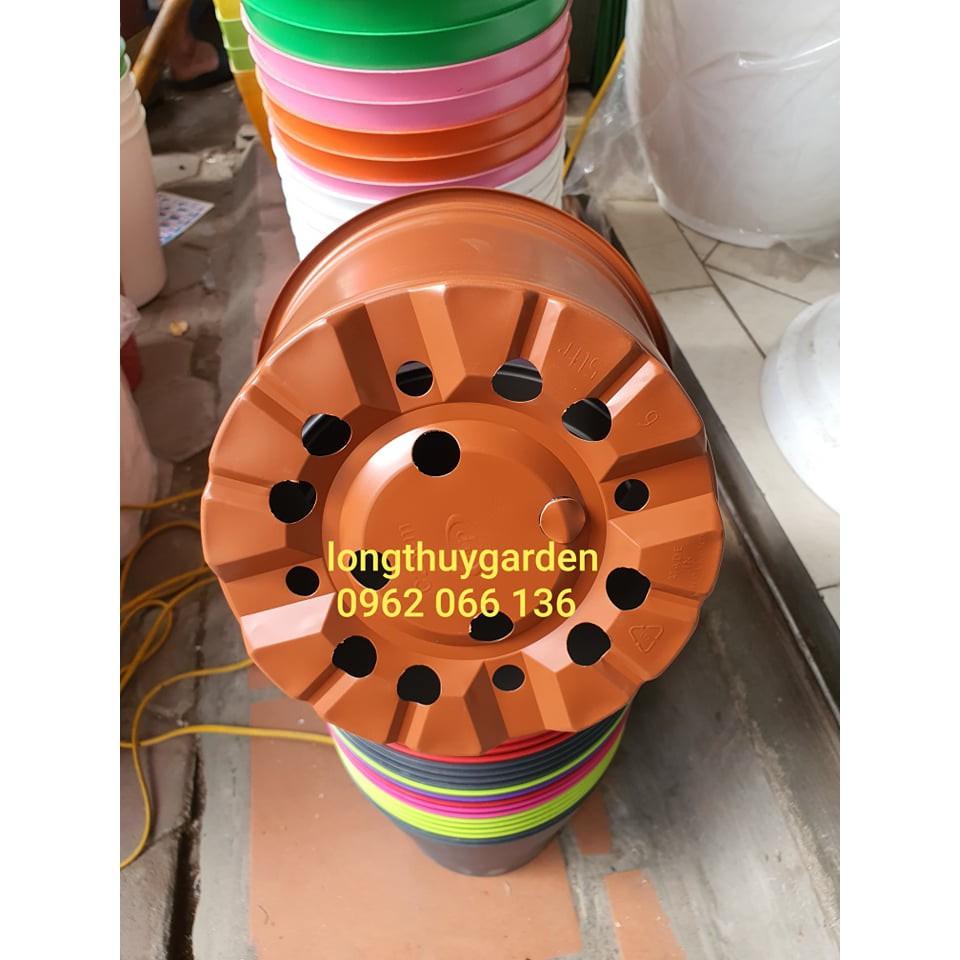 Chậu cây thông minh 2 LỚP nhập khẩu