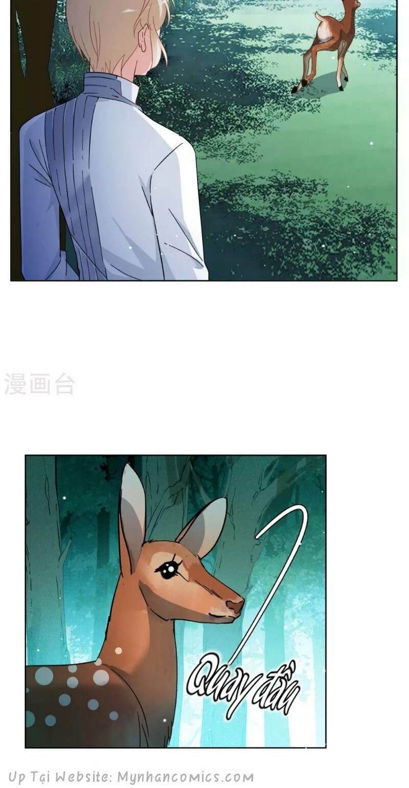 cô ấy đến rồi, xin nằm xuống! chapter 117 12