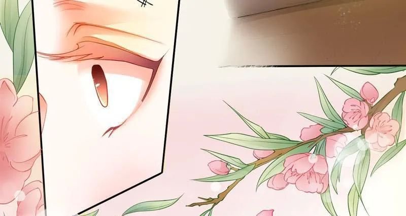 tuyệt thế luyện đan sư chapter 8 7