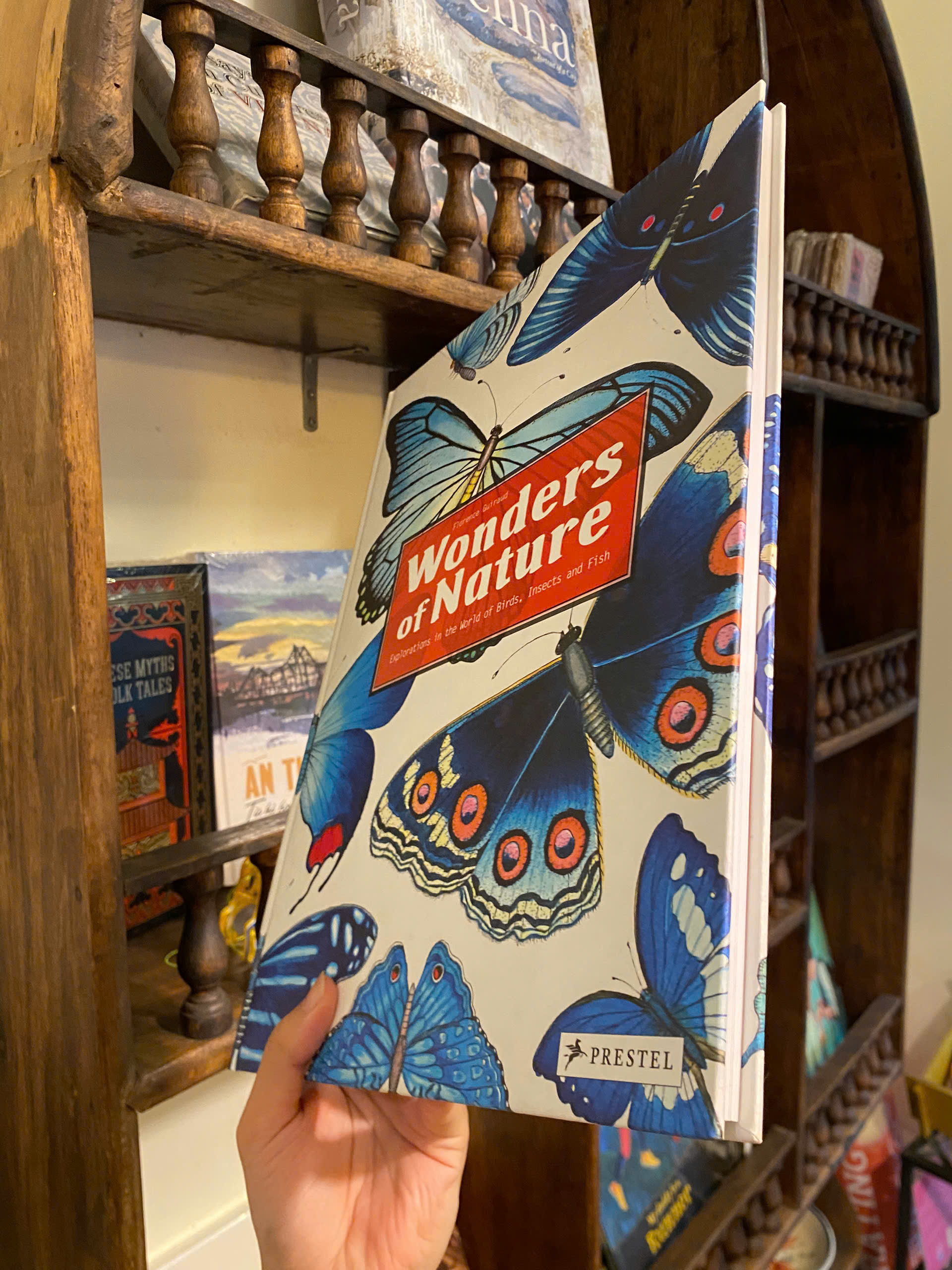 Sách - Wonders of Nature: Explorations in the World of Birds, Insects and Fish by Florence Guiraud
