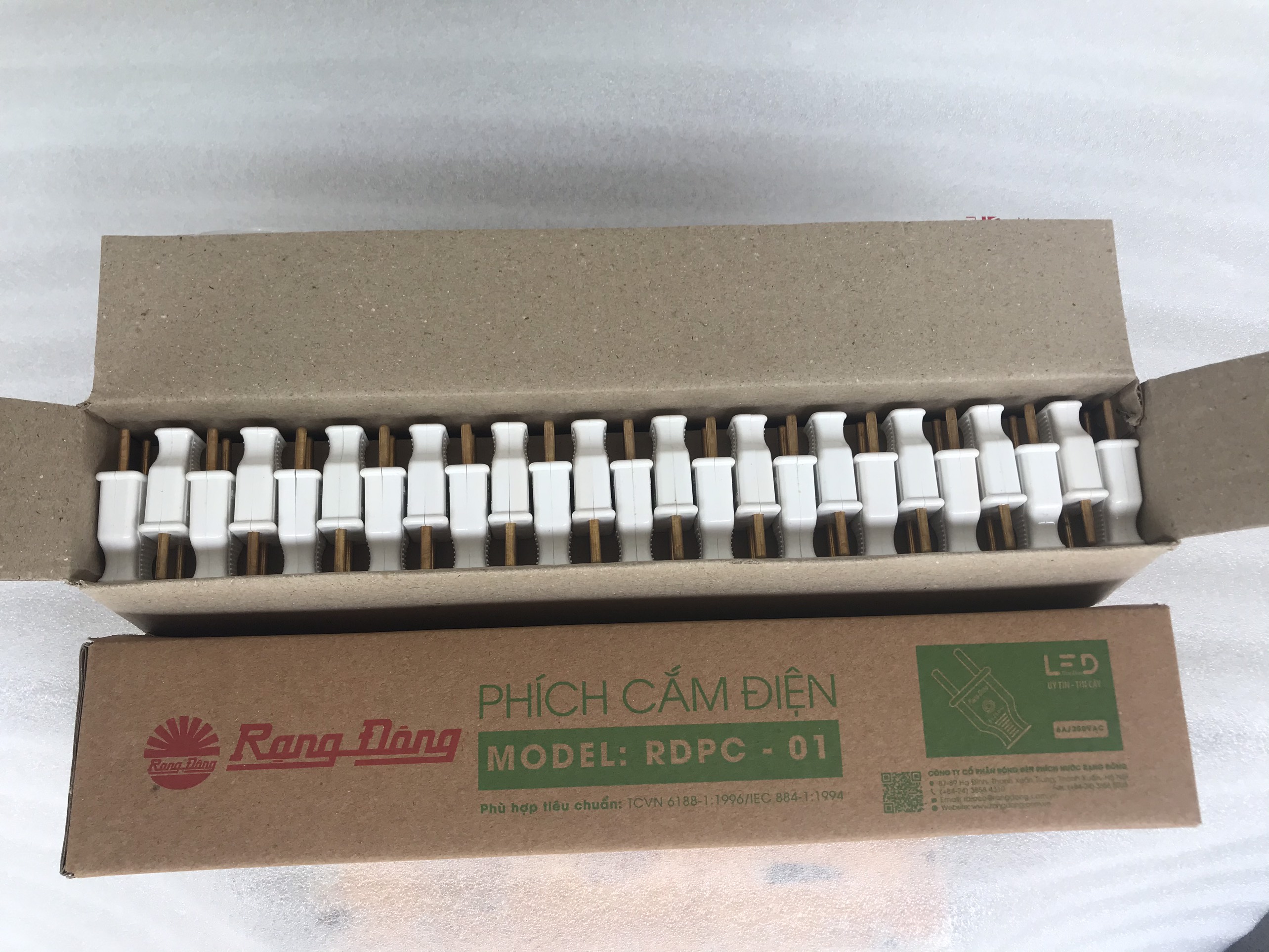 Chui Phích cắm điện Rạng Đông Model PL-01