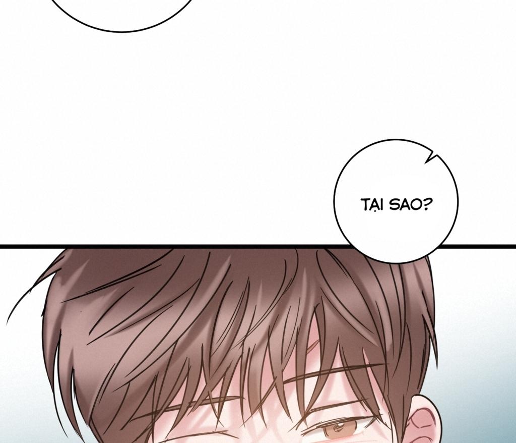 tình yêu bình dị nhất chapter 13 19