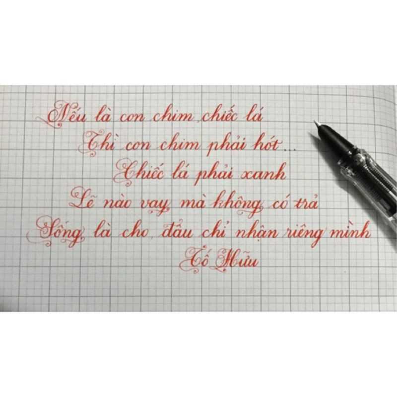 Bút Máy Leta 368 , Bút Luyện Chữ Đẹp Ngòi Lá Tre Nét Thanh Đậm Viết Calligraphy