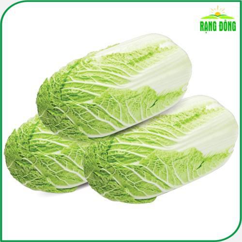 Hạt giống Cải Thảo Dễ Chăm Sóc, Trồng Quanh Năm - Hạt Giống Rạng Đông