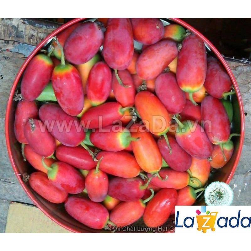 Hạt Giống Cây Bình Bát Dây Dây Bát Mãng Bát a11