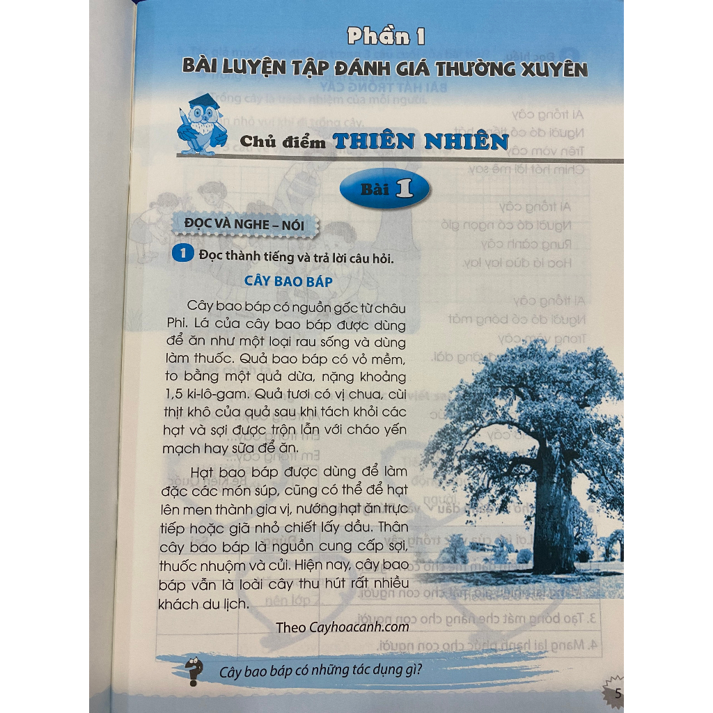 Sách - Phát triển và Đánh giá năng lực Tiếng Việt 2 - Tập 2