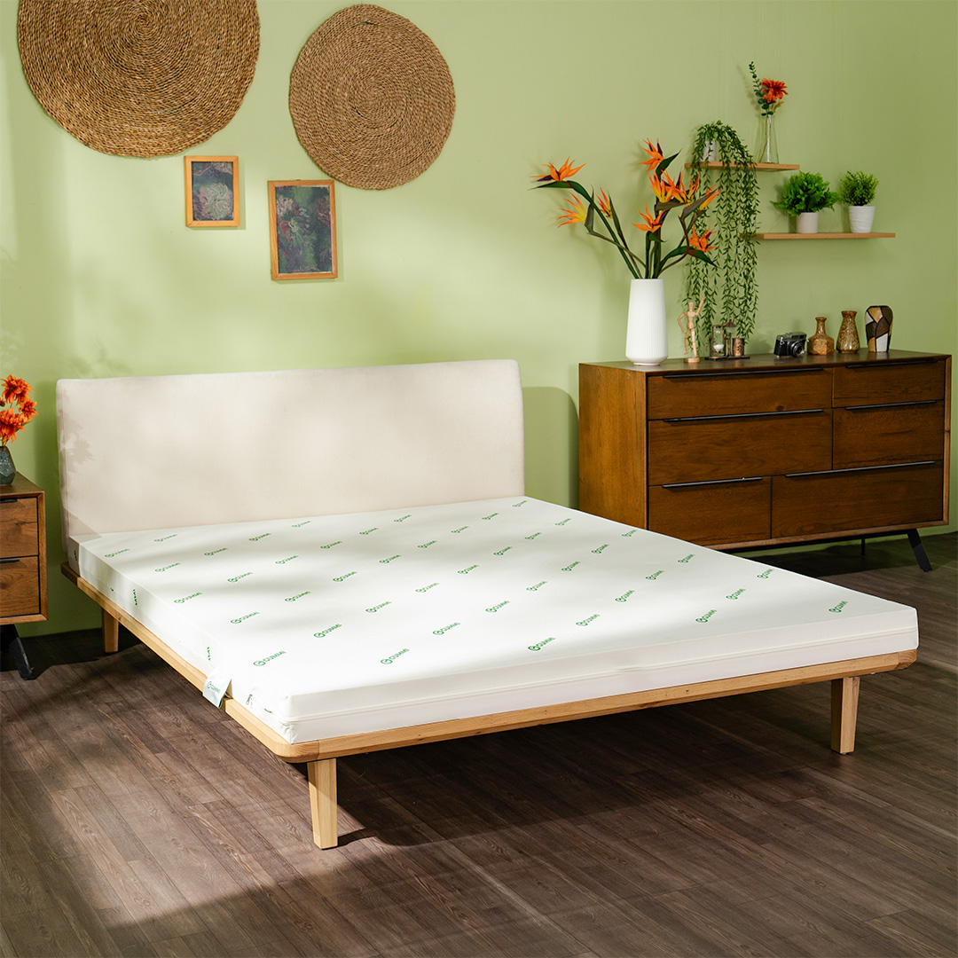 Nệm cao su foam giảm đau lưng Gummi Lite