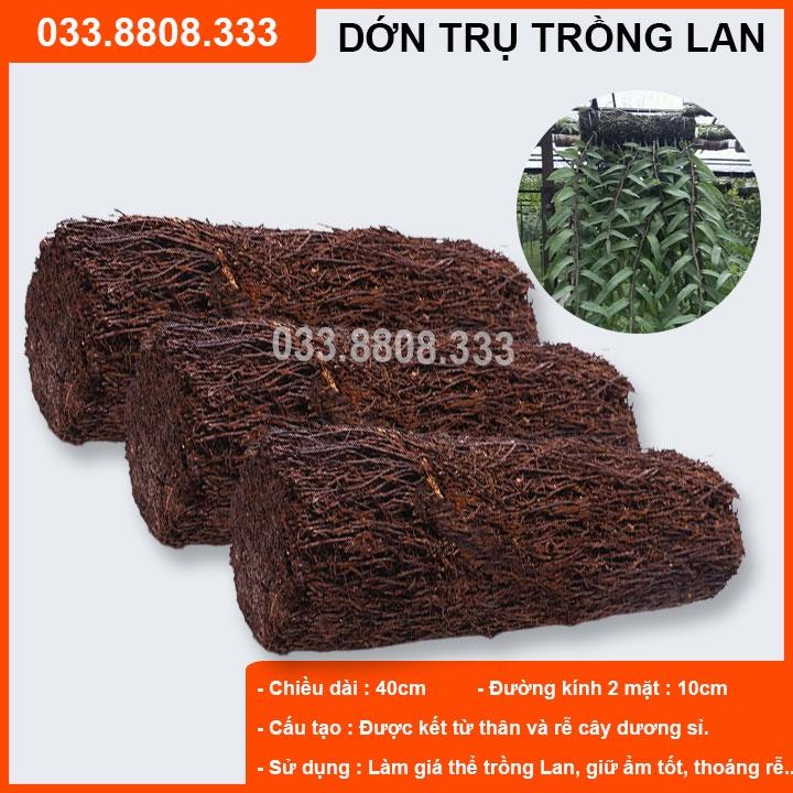 DỚN TRỤ CHUYÊN DÙNG GHÉP LAN (DÀI 40CM - ĐƯỜNG KÍNH 10CM) - ĐÃ QUA XỬ LÝ