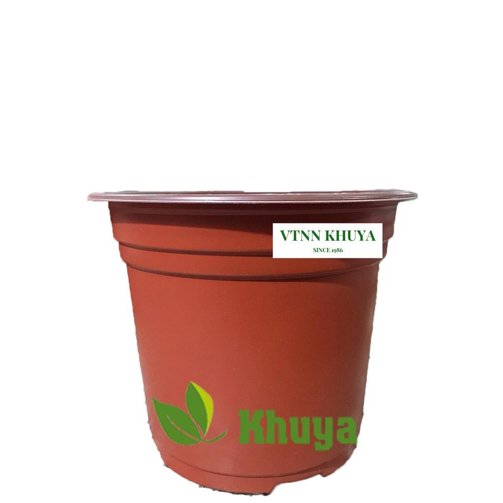 Chậu nhựa trồng cây PP 150x125mm