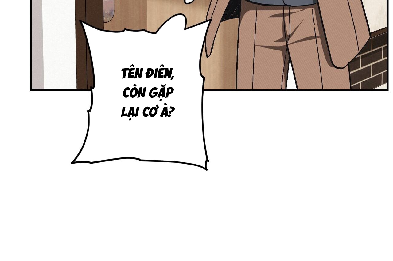 chàng dâu nhà họ kang chapter 31 111