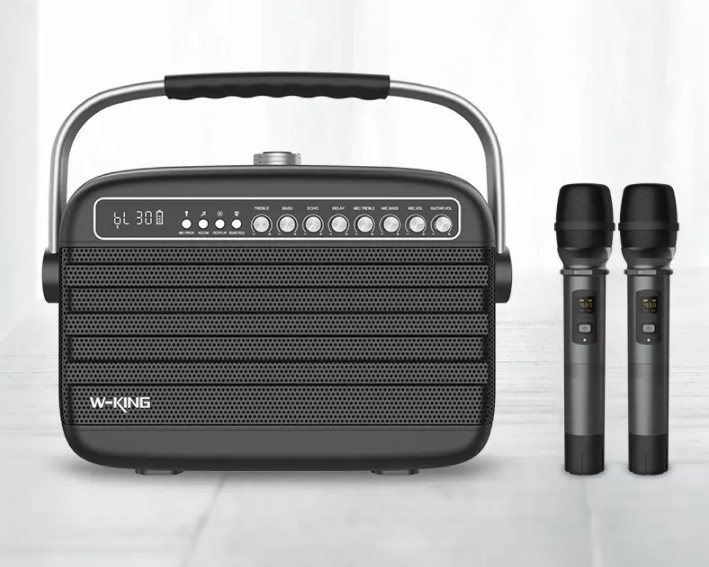 Loa Karaoke Xách Tay Bluetooth W-king K9