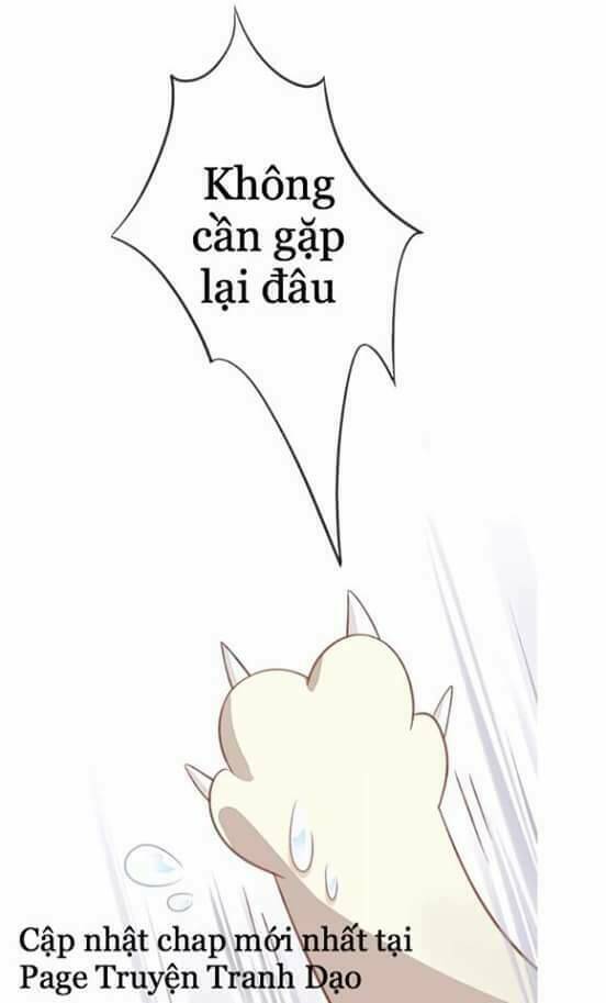 dưới móng vuốt mèo chapter 5 49