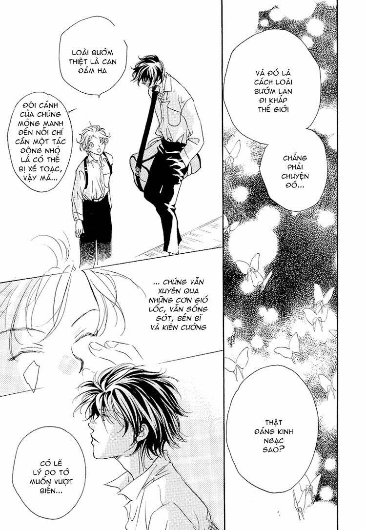 cánh bướm nhỏ cô độc chapter 1.5 27