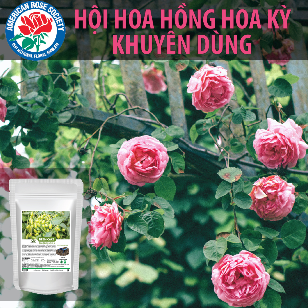 Neem Cake , Phân bón hữu cơ dưỡng mầm lá tốt nhất cho hoa hồng, hoa lan,Trị và phòng ngừa bệnh tuyến rễ như nấm rễ, sùng đất, cuốn chiếu, ốc sên, tuyến trùng