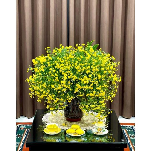 Lọ hoa men hỏa biến