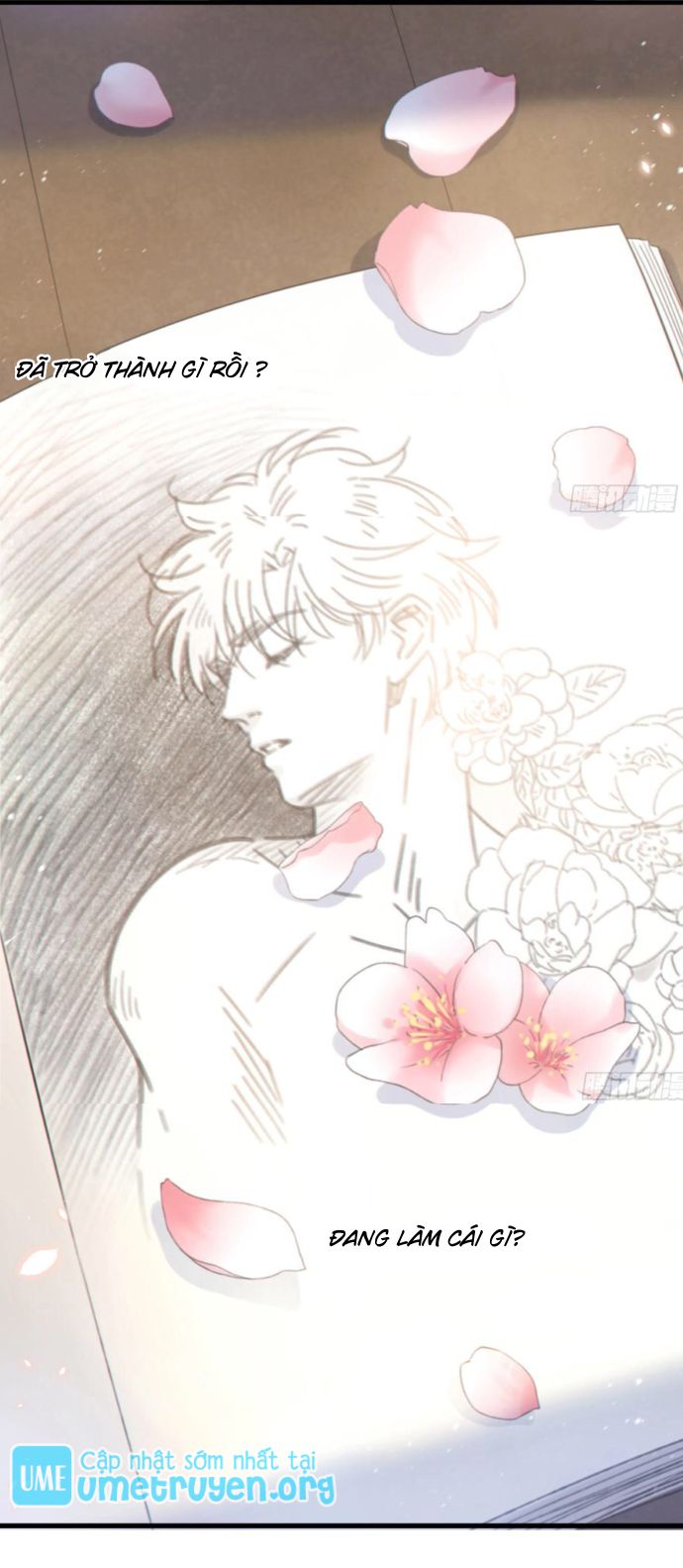 đêm sao chapter 54 15