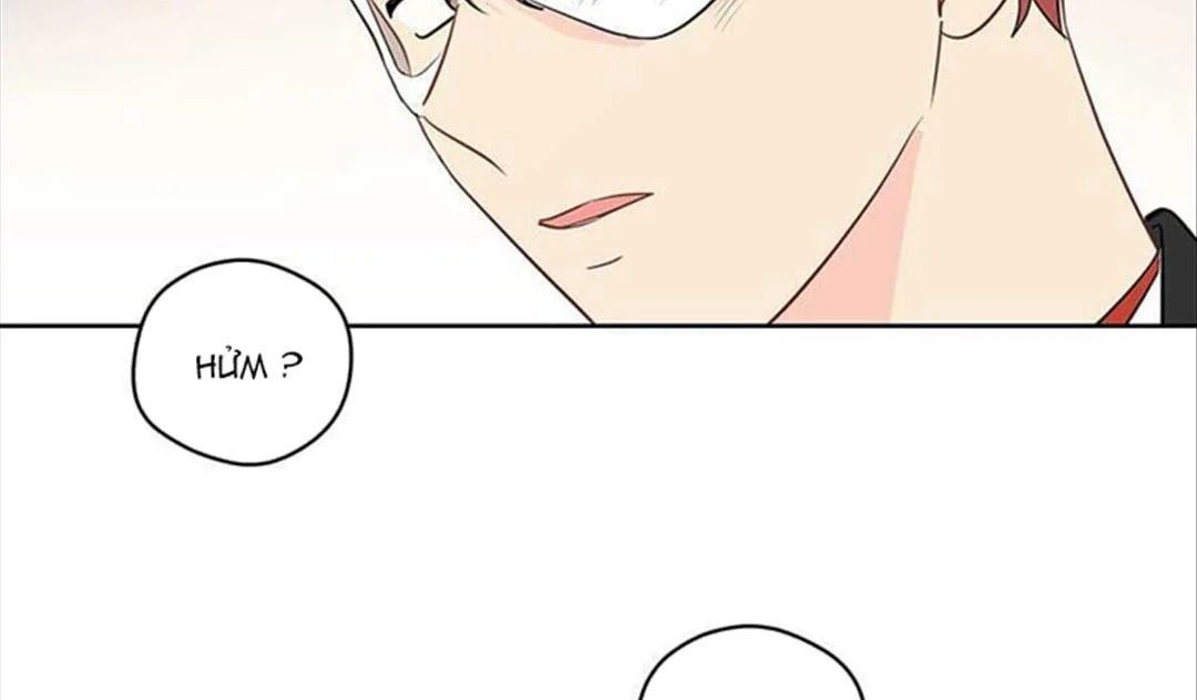 chuyện quái gì với giấc mơ đó vậy chapter 34 16