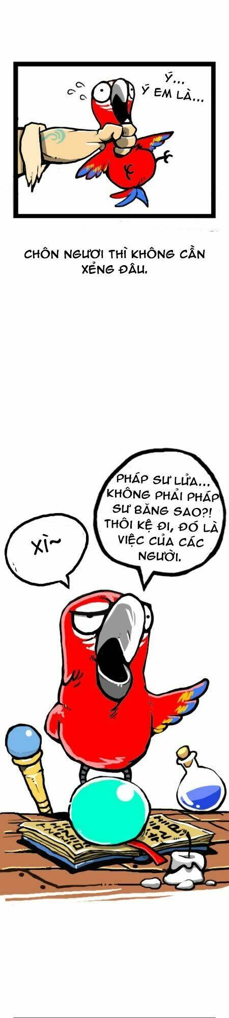 earth, human, and animal chapter 11 15