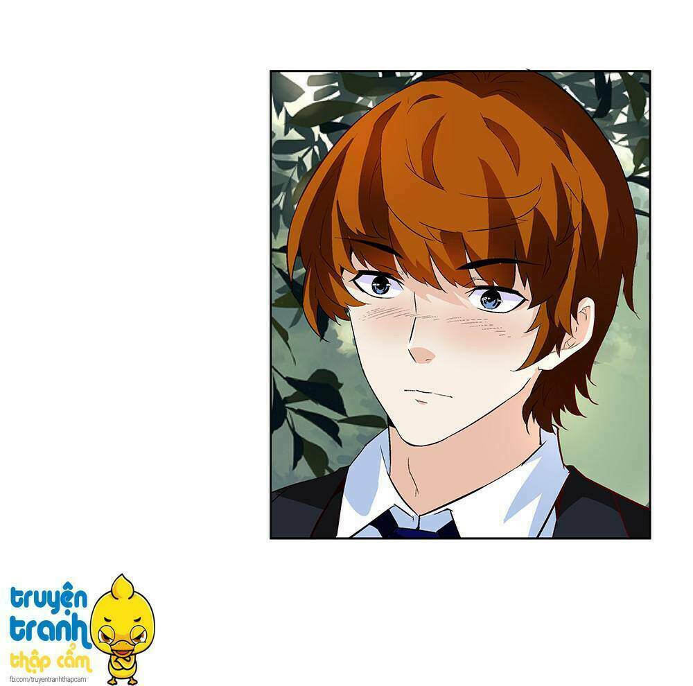 cường sủng hào môn tiểu manh thê chapter 4 2