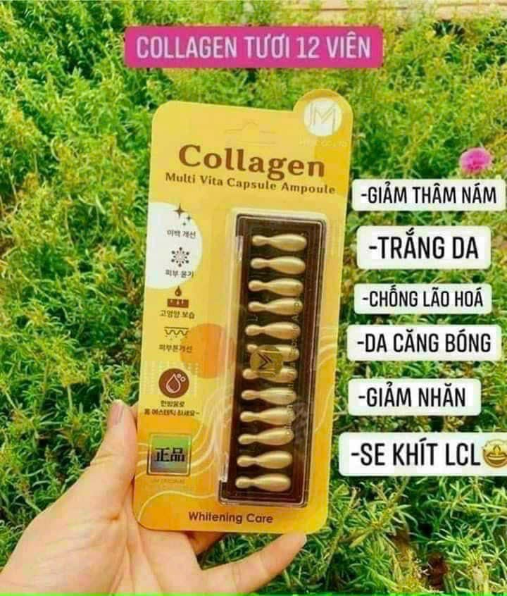 VỈ 12 VIÊN Tinh Chất Collagen Ammud Multi Vita Ampoule Collagen ( không xuất hóa đơn đỏ )