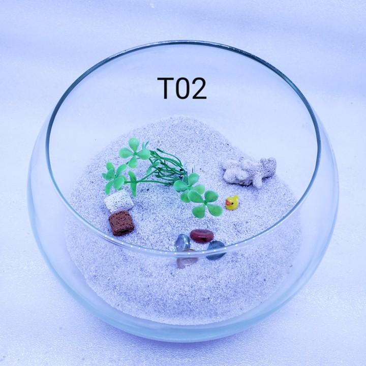 Bể cá mini TRÒN, chậu cá thủy tinh chọn mẫu