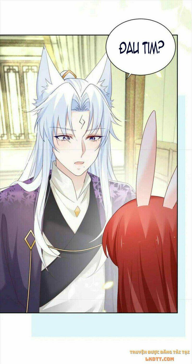 hắc hóa nam chính trực tuyến nuôi thỏ chapter 60 12