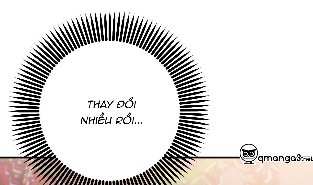 những chú thỏ của hapypy chapter 49 139