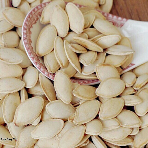 500G HẠT BÍ TRẮNG CHẮC HẠT SIZE TO THƠM NGON - ĂN VẶT