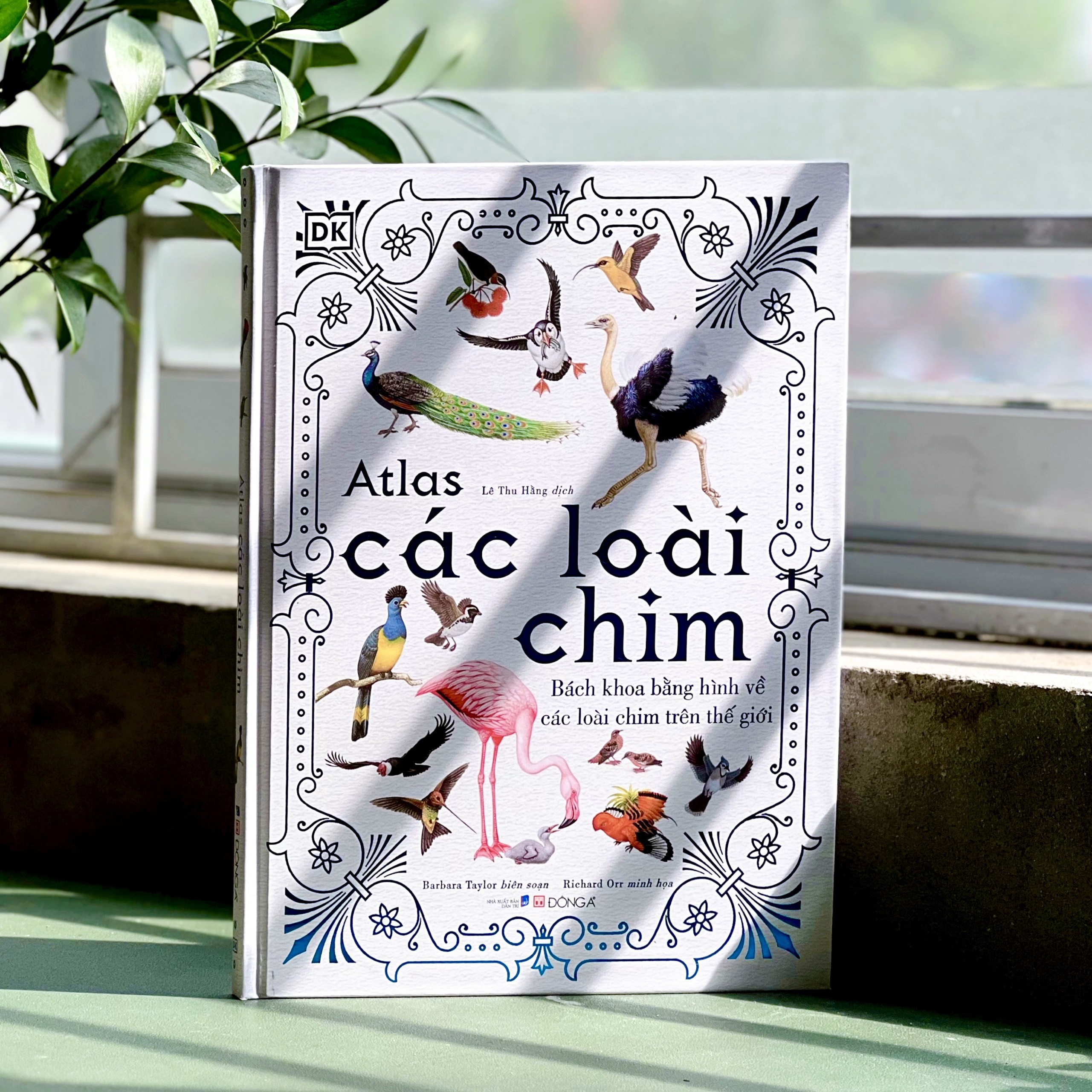 Sách - Atlas Các Loài Chim - Bìa cứng