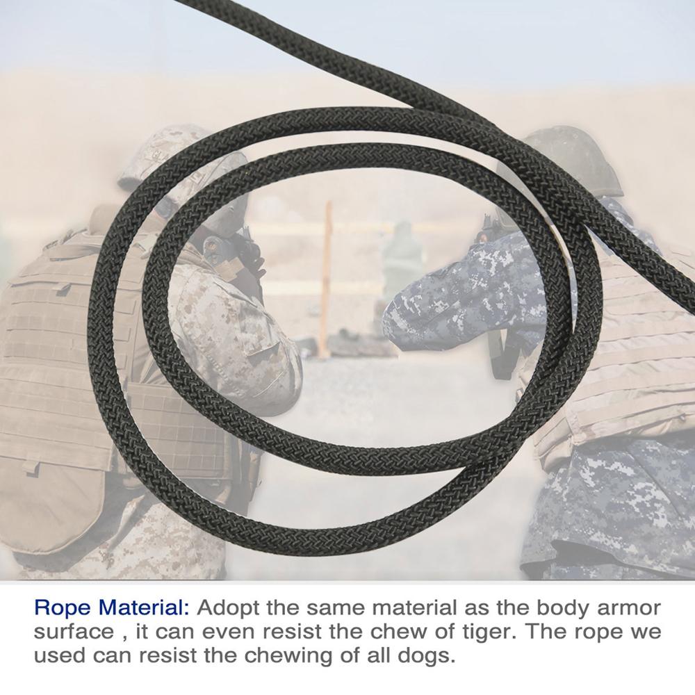 Đồ chơi, huấn luyện thú cưng hình quả bóng