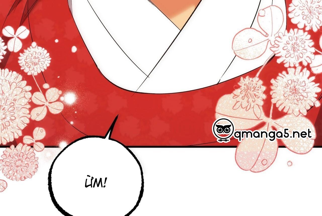 những chú thỏ của hapypy chapter 65 180