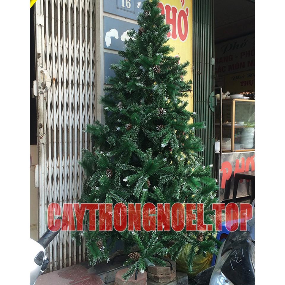 Cây thông noel 3 loại lá gắn trái đỏ 1m5