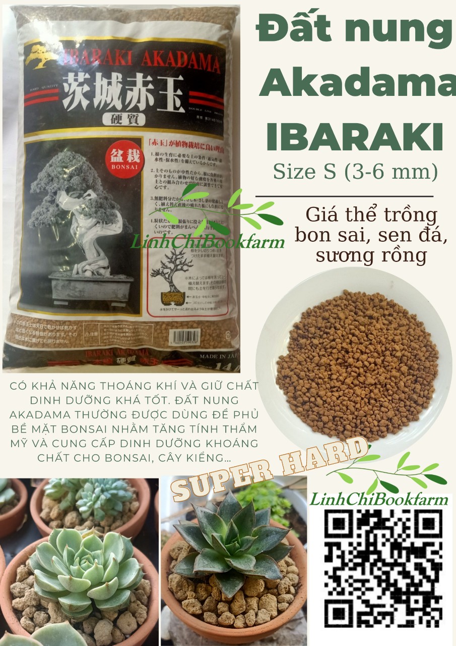 Đất nung Ibaraki Akadama Nhật Bản size S , giá thể sen đá, xương rồng, bonsai, túi 1kg