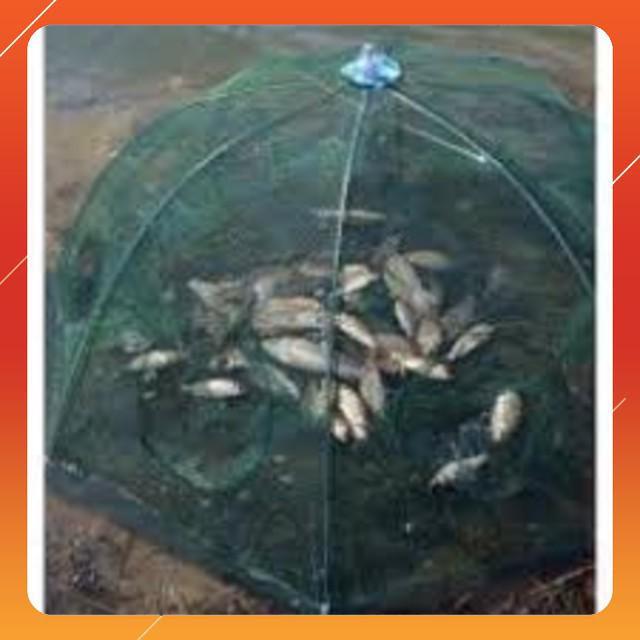 Lồng bát quái đánh bắt cá 8 cửa|do cau99|
