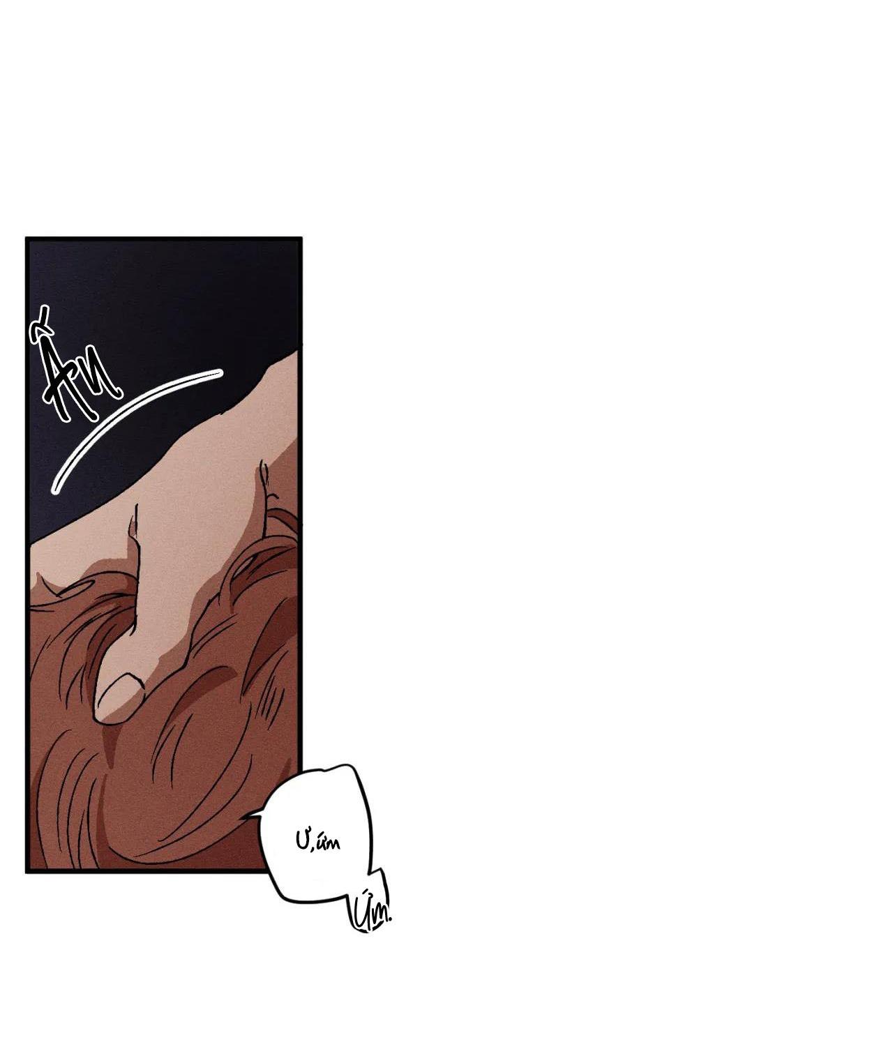 bẫy đôi ngọt ngào chapter 20 12