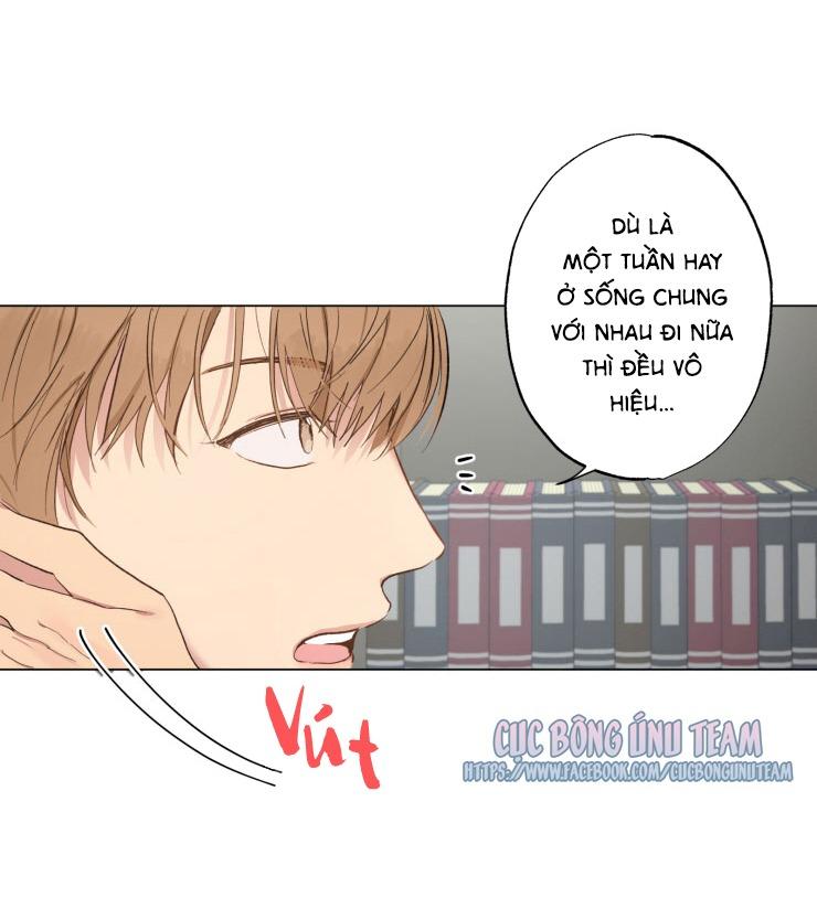 bắt đầu từ việc sống chung chapter 2 11