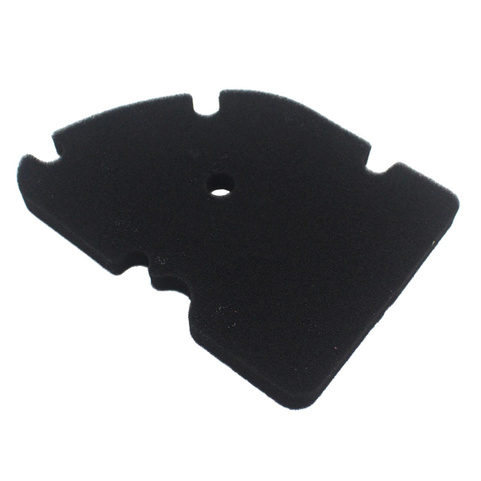 Premium Sponge   Air Filter for  GTV 250 300  250