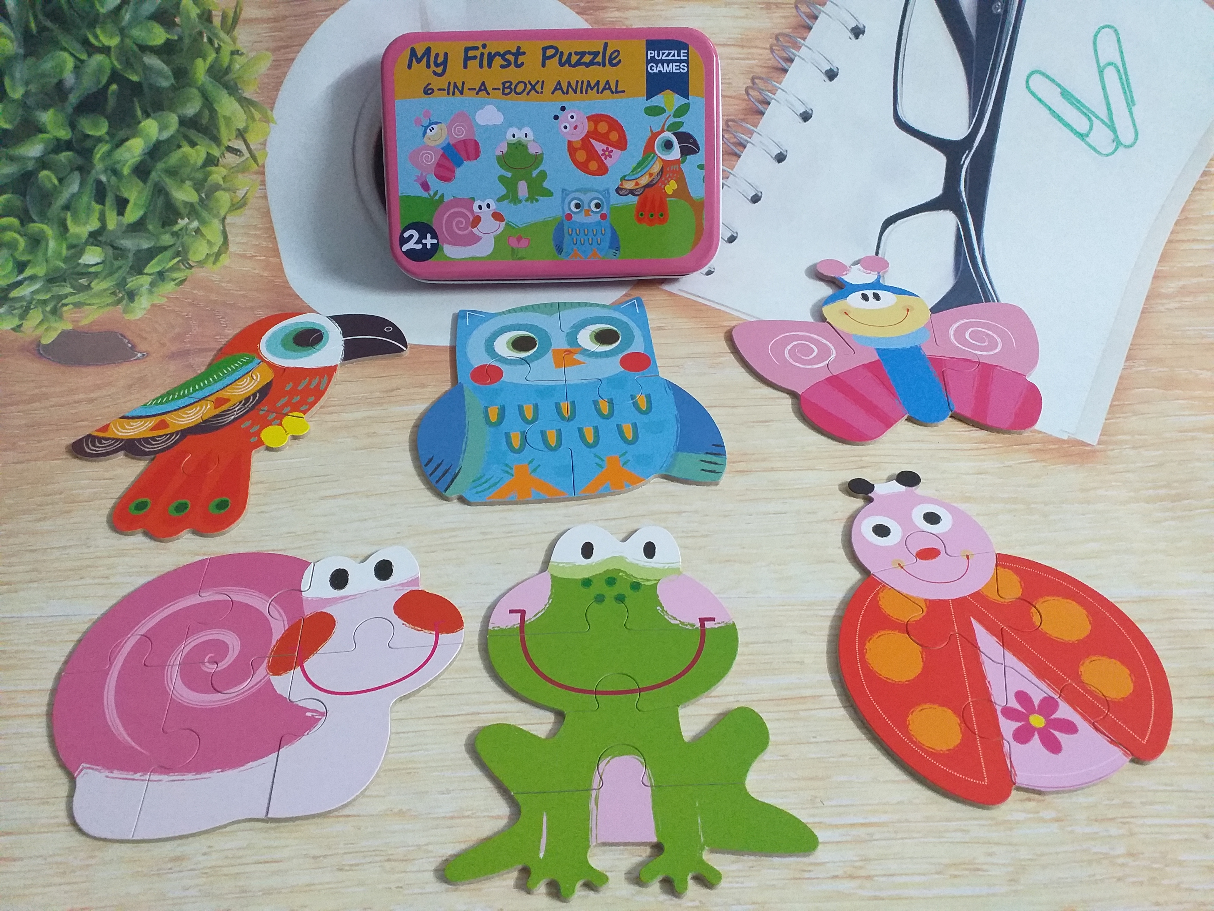 Đồ chơi gỗ - Combo 5 Hộp ghép hình My first Puzzle