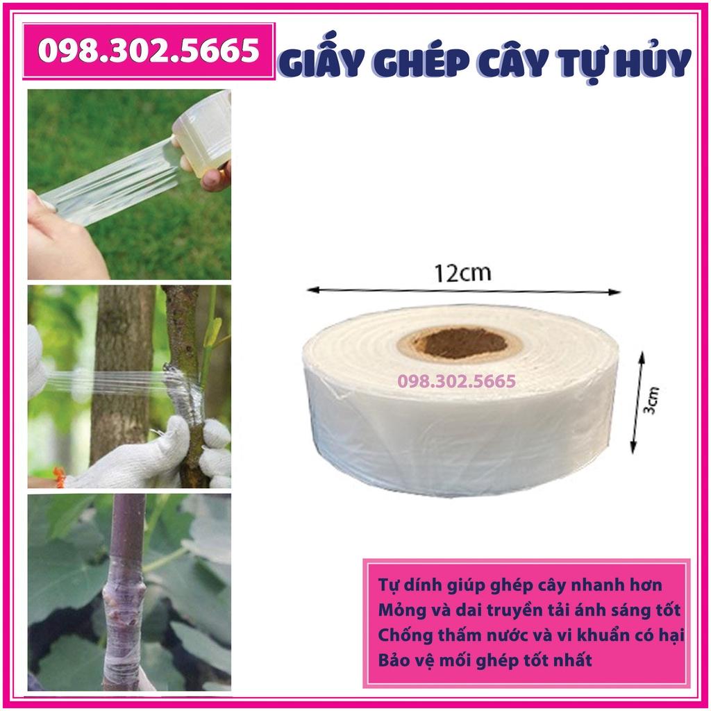 Cuộn giấy ghép cây tự hủy - khổ 3 cm - dùng cho ghép cành, ghép tán, tạo dáng cây
