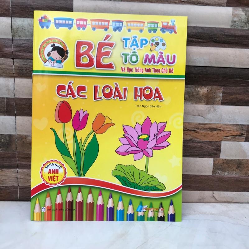 Bé tập tô màu theo các chủ đề