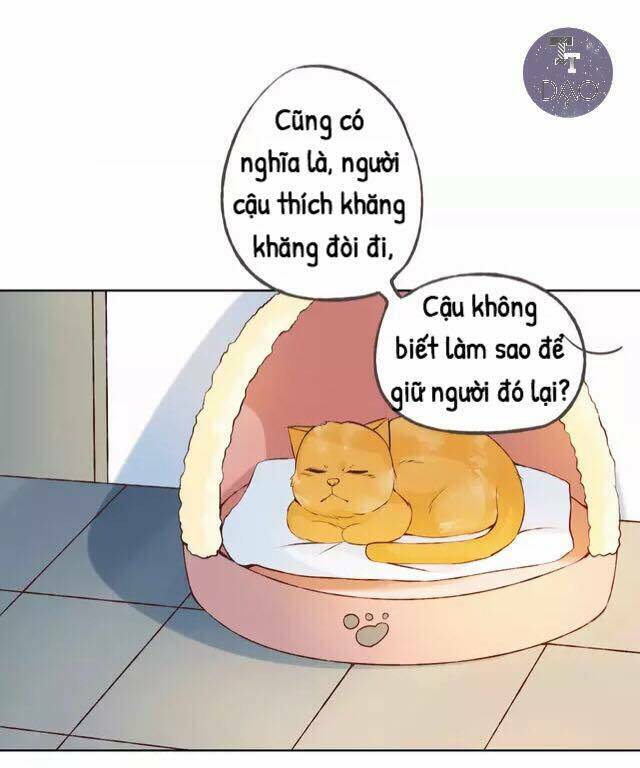 tôi không phải đa nhân cách chapter 32 55